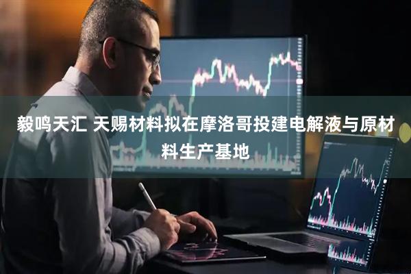 毅鸣天汇 天赐材料拟在摩洛哥投建电解液与原材料生产基地