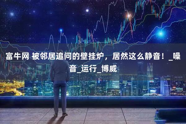 富牛网 被邻居追问的壁挂炉，居然这么静音！_噪音_运行_博威