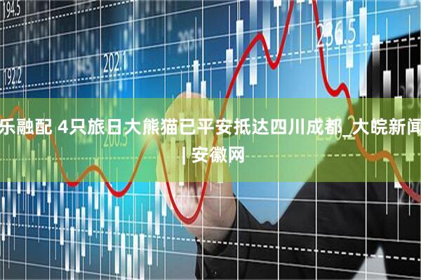 乐融配 4只旅日大熊猫已平安抵达四川成都_大皖新闻 | 安徽网