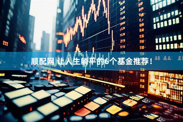顺配网 让人生躺平的6个基金推荐！