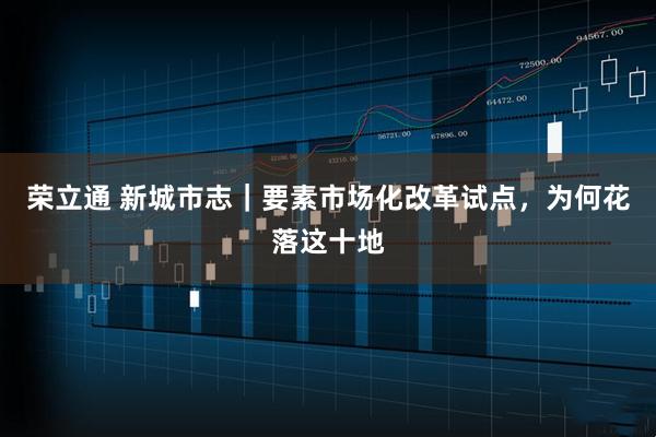 荣立通 新城市志｜要素市场化改革试点，为何花落这十地