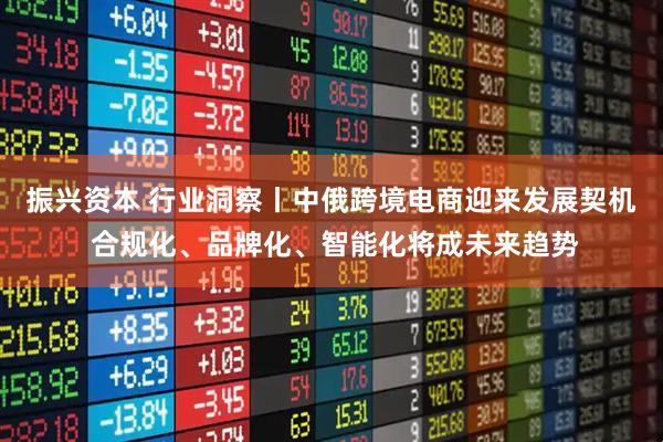 振兴资本 行业洞察丨中俄跨境电商迎来发展契机 合规化、品牌化、智能化将成未来趋势