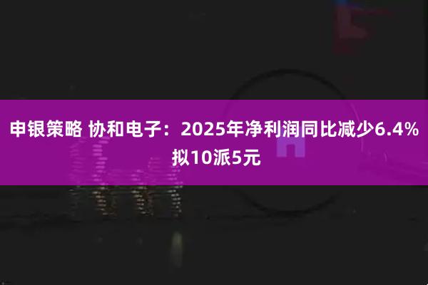 申银策略 协和电子：2025年净利润同比减少6.4% 拟10派5元